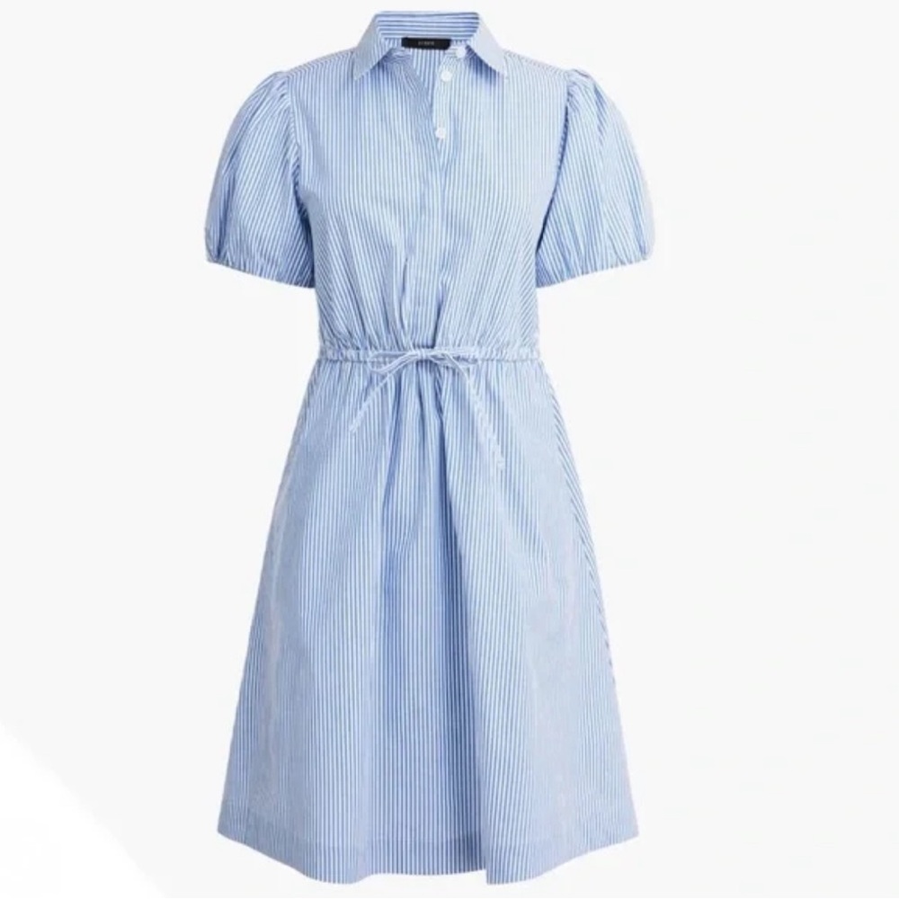 J Crew Blue Striped Women's Dress